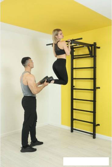 Детские спортивные комплексы и игровые площадки Romana 11.05.03 (черный)