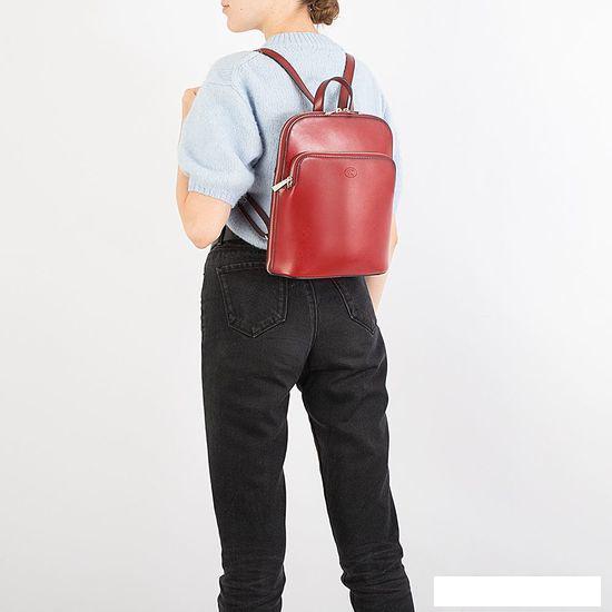 Рюкзаки Francesco Molinary 513-13842-003-BRD