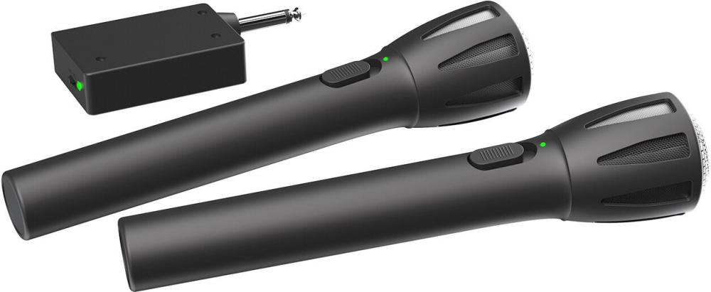 Радиосистема Ritmix RWM-302 (черный)