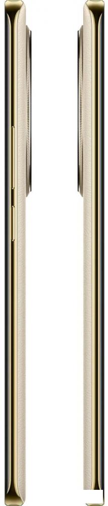 Телефон Realme 12 Pro+ 12GB/512GB (бежевый)