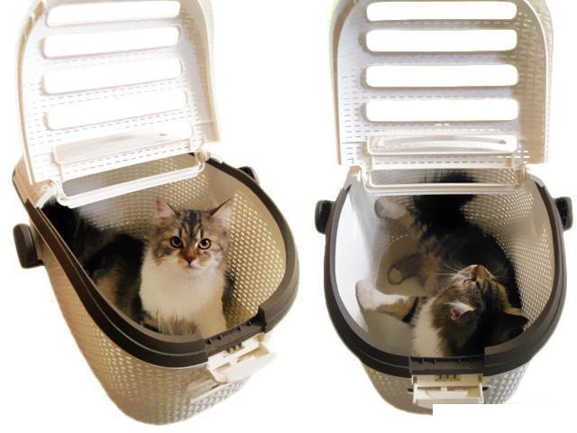 Переноска Curver Pet Carrier Vint