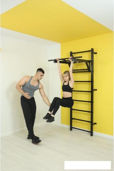 Детские спортивные комплексы и игровые площадки Romana 11.05.03 (черный)