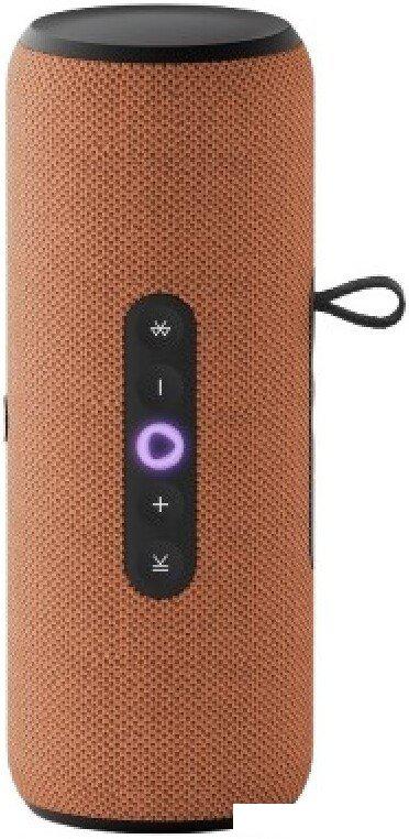 Беспроводные и портативные колонки Яндекс Станция Стрит (оранжевый)