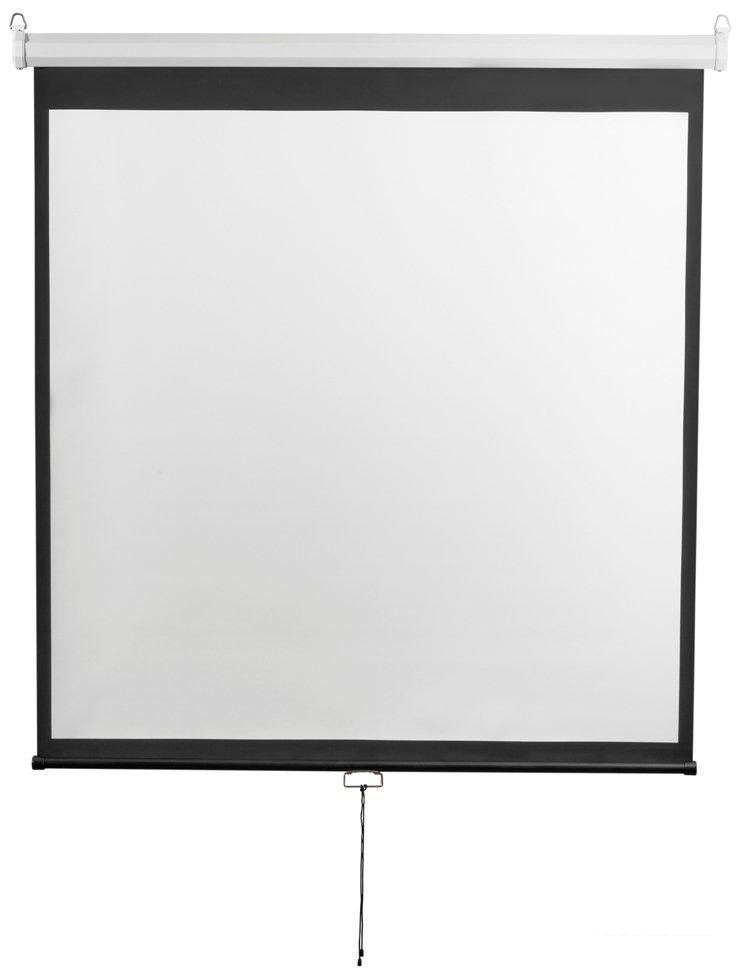Проекционный экран Digis Optimal-D 248x249 DSOD-1107