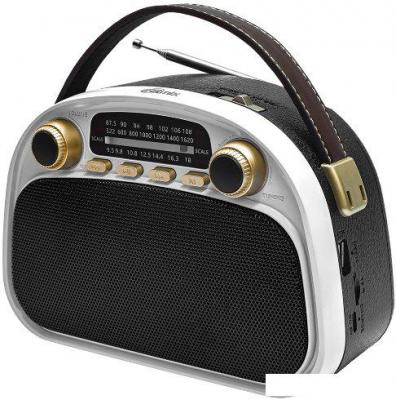 Радиоприемник Ritmix RPR-040 (белый)