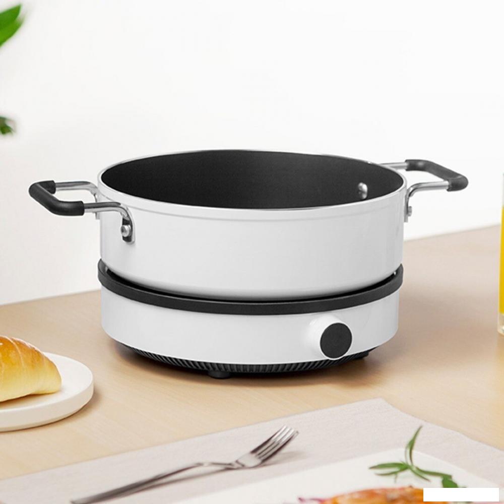 Настольная плита Xiaomi Induction Cooker Lite DCL002CM-1 (евровилка)