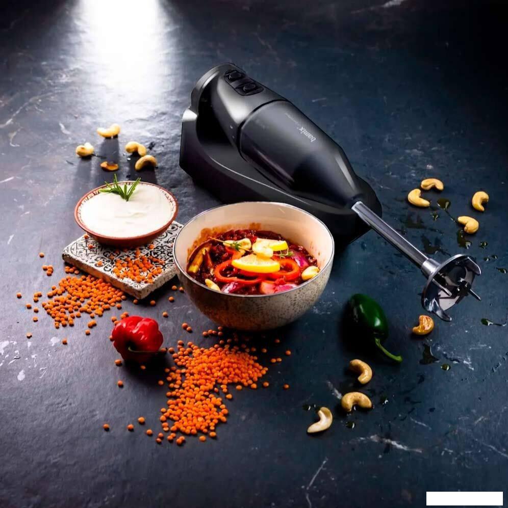 Погружной блендер Bamix Cordless PRO (черный)