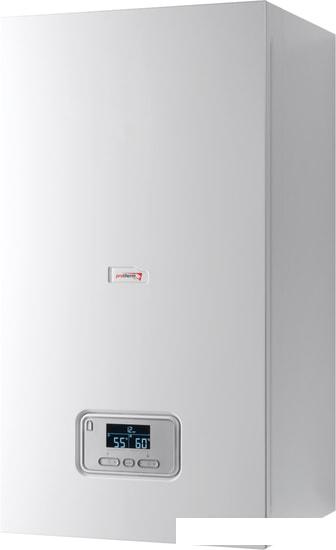 Отопительный котел Protherm Ray (Скат) 24 KE /14 0010023652