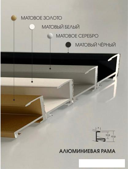 Интерьерные зеркала Алмаз-Люкс М-420 100х50