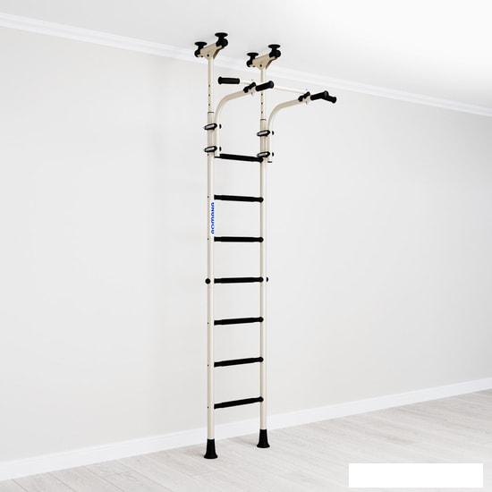 Детские спортивные комплексы и игровые площадки Romana R9 01.20.7.06.410.04.00-01 (белый антик золото/черный)