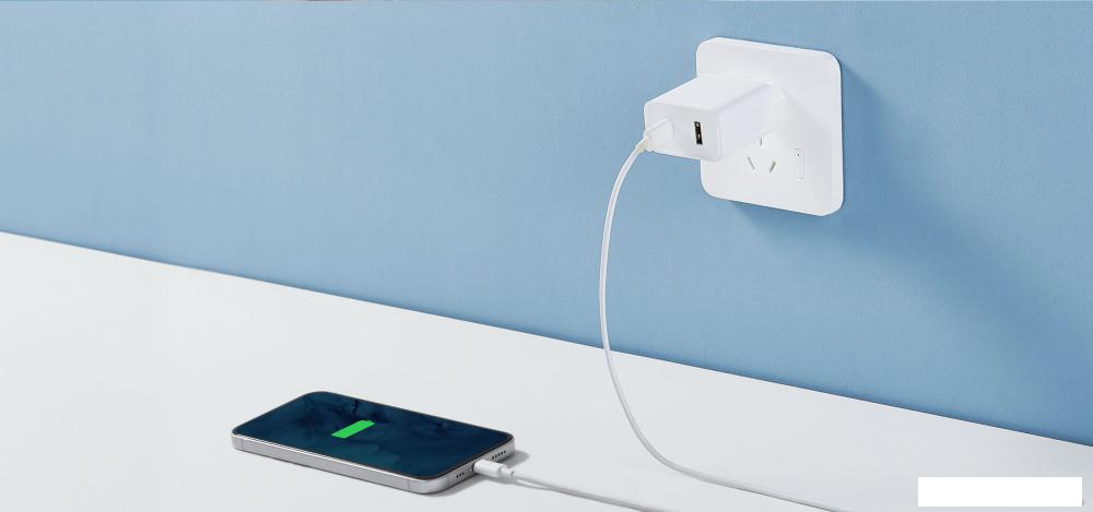 Сетевое зарядное Xiaomi Mi 33W Wall Charger AD332EU (международная версия) Сетевое зарядное Xiaomi Mi 33W Wall Charger AD332EU (международная версия)