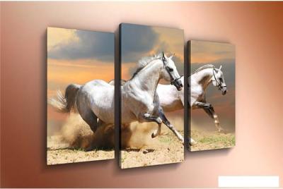 Картины, постеры, гобелены, панно Arthata m-000324 120x80
