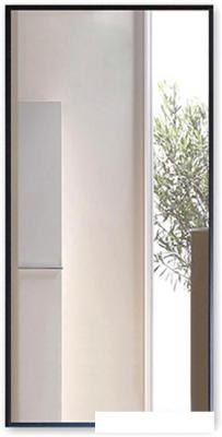 Интерьерные зеркала Алмаз-Люкс М-420 100х50