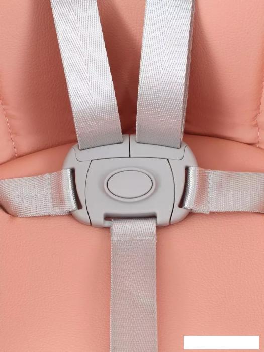 Высокий стульчик Rant Basic Cookie RH700 (pink)