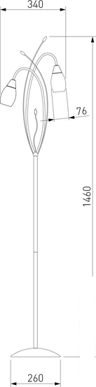 Настольные лампы, торшеры, ночники Евросвет Ginevra 22080/2F (хром)