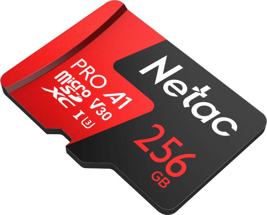 Карта памяти Netac P500 Extreme Pro 256GB NT02P500PRO-256G-S Карта памяти Netac P500 Extreme Pro 256GB NT02P500PRO-256G-S