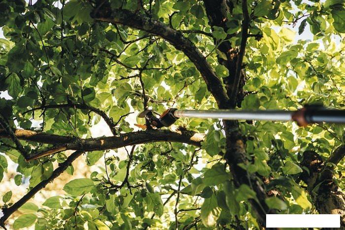 Сучкорез Fiskars PowerGear X UPX82 1023625