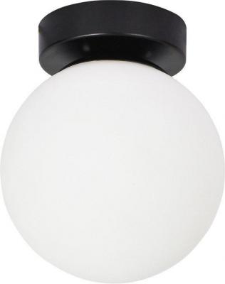 Светильник Arte Lamp Alcor A2224PL-1BK