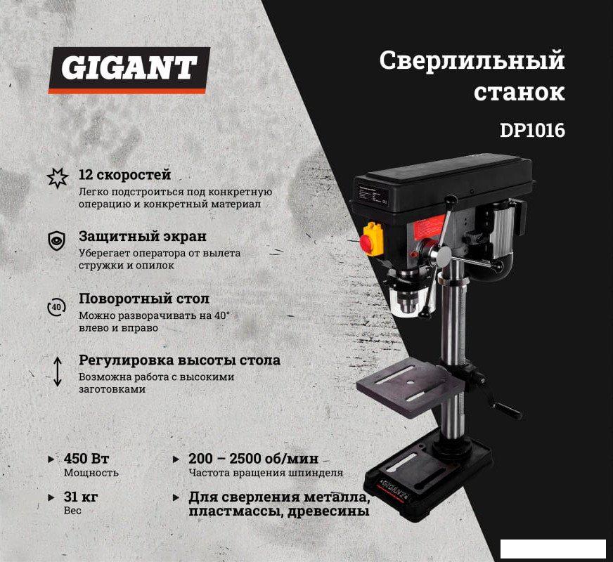 Деревообрабатывающие и металлообрабатывающие станки Gigant DP1016