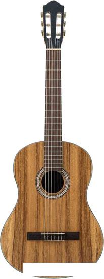 Гитары Flight C-110 AC 4/4