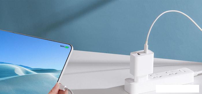 Сетевое зарядное Xiaomi Mi 33W Wall Charger AD332EU (международная версия)