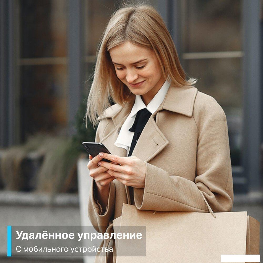 Умная розетка TP-Link Tapo P100 (2 шт)